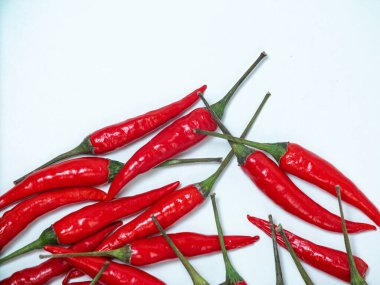 Chilli pepper on the white background. empty space for your text. blank for designers