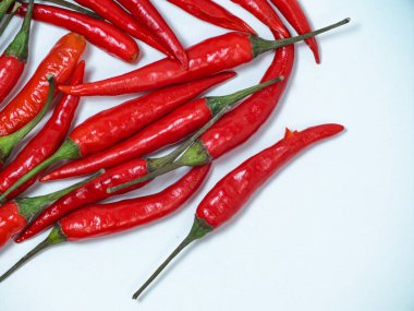 Chilli pepper on the white background. empty space for your text. blank for designers