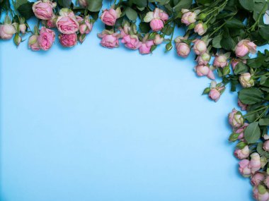 Mavi arka planda bahar gülleri yassı. Sevgililer Günü için çiçek kavramı, Anneler Günü ya da 8 Mart