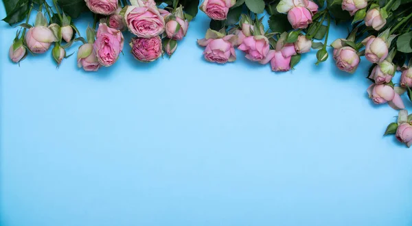 Rosas Primavera Planas Sobre Fondo Azul Concepto Flores Para Día — Foto de Stock