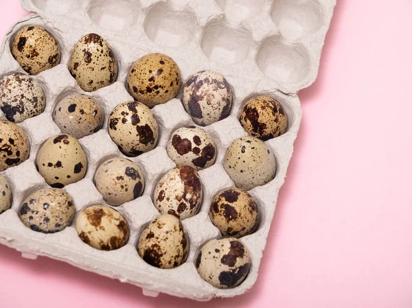 quail eggs in a cardboard egg box on pink background