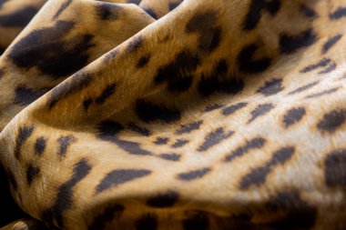 Gün ışığında katlanmış çita eşarbı.