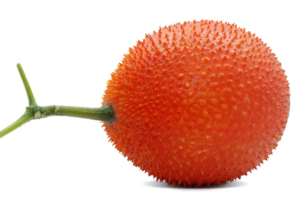 Gac Früchte Oder Baby Jackfrucht Isoliert Auf Weißem Hintergrund — Stockfoto
