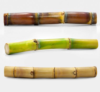 Beyaz arkaplanda izole şeker kamışı 