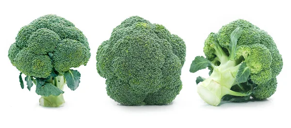 Frischer Brokkoli Isoliert Auf Weißem Hintergrund — Stockfoto