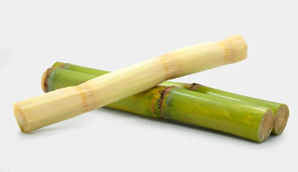 Sugar Cane Isolated White Background — Stock Photo, Image