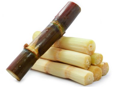 Şeker kamışının tek bir nesnesi beyaz arkaplanda izole edilmiş