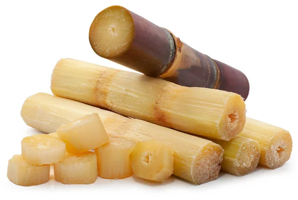 Single Object Sugar Cane Isolated White Background — Stock Photo, Image