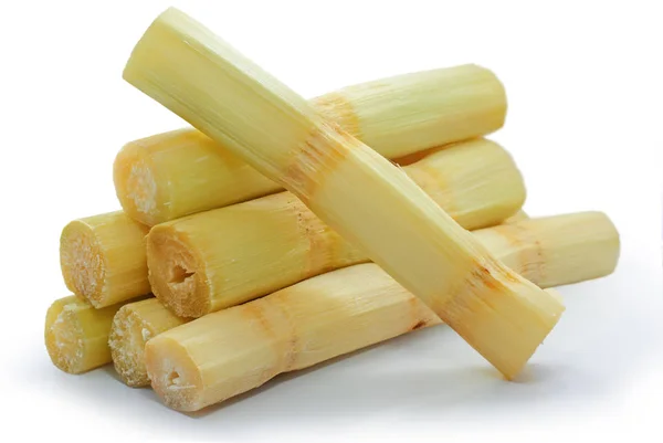 Single Object Sugar Cane Isolated White Background — Stock Photo, Image