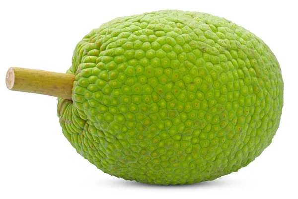 Breadfruit Απομονωμένα Κομμένα Λευκό Φόντο — Φωτογραφία Αρχείου