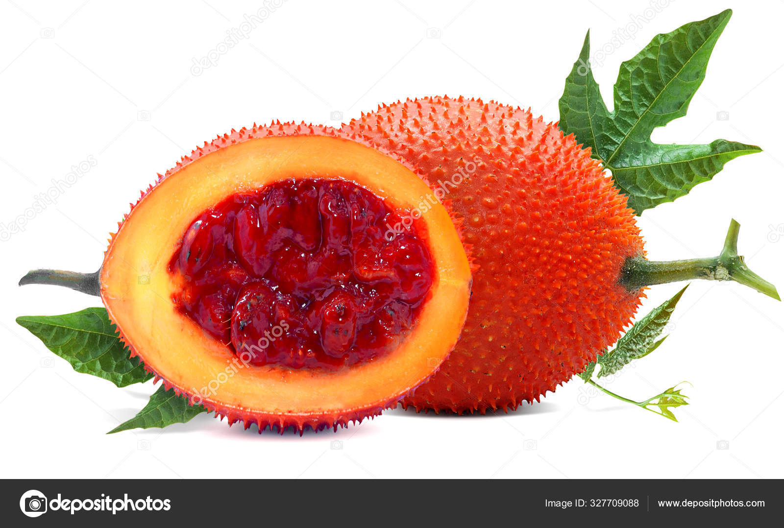 Gac Fruit Baby Jackfruit Isolated White Background Stock Photo By C Anny Ben 327709088