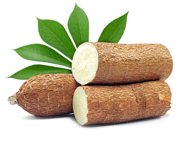 Cassava Wurzel Isoliert Auf Weißem Hintergrund — Stockfoto