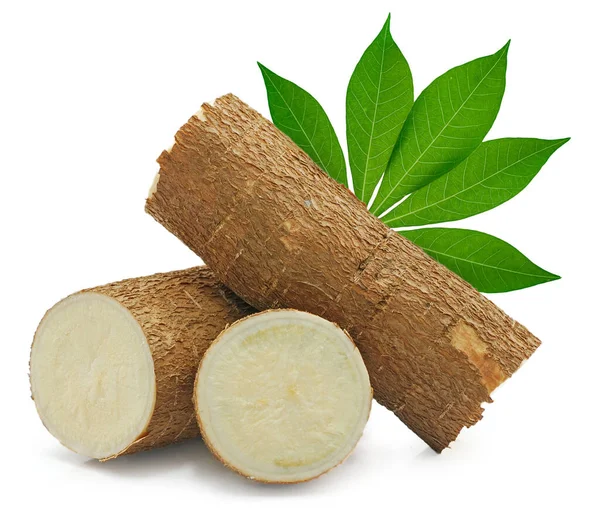 Beyaz arkaplanda yalıtılmış Cassava kökü