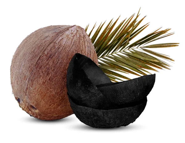 Kokosové Uhlí Listem Izolovaným Bílém Pozadí — Stock fotografie