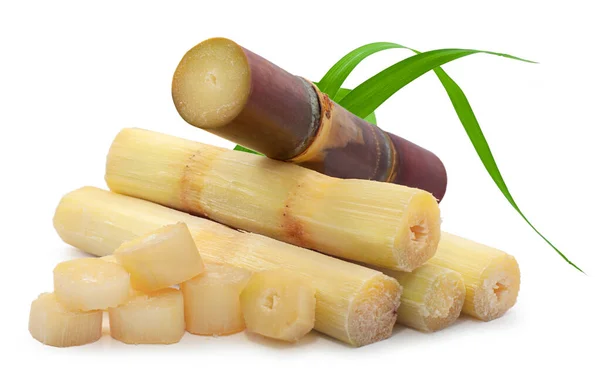 Cukornád Izolált Fehér Alapon — Stock Fotó