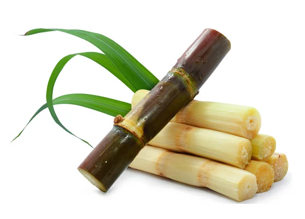 Sugar Cane Isolated White Background — Stock Photo, Image