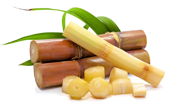 Sugar Cane Isolated White Background — Stock Photo, Image