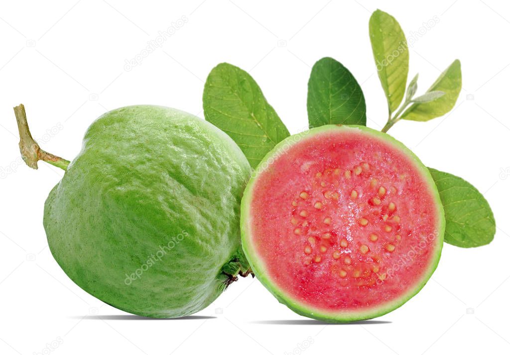 Fresh guava fruit isolated on white background