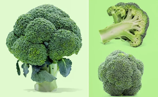 Brokoli Nin Tek Nesnesi Beyaz Arkaplanda Izole Edildi — Stok fotoğraf