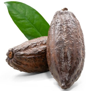 Kakao meyvesi ya da kakao çekirdeği beyaz arka planda izole edilmiş.