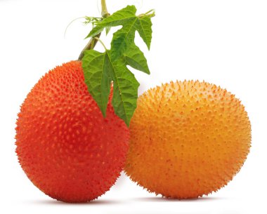 Beyaz arkaplanda Gac meyvesi veya Baby Jackfruit izole edilmiş