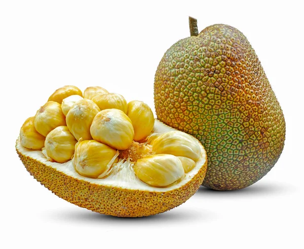 Single Object Van Jackfruit Geïsoleerd Witte Achtergrond — Stockfoto
