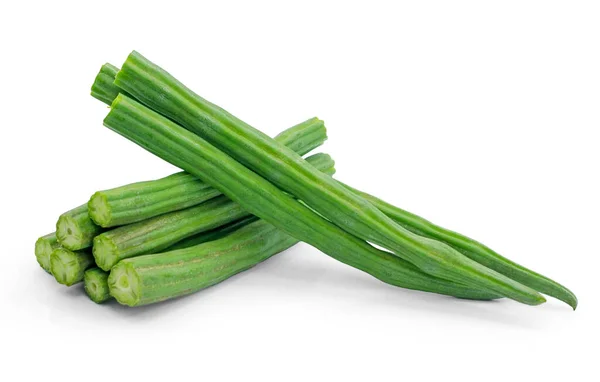  Moringa oleifera beyaz arkaplanda izole edildi