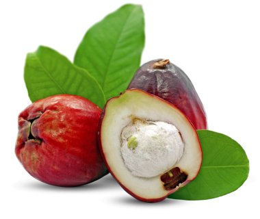 Malay elması beyaz arkaplanda izole edilmiş
