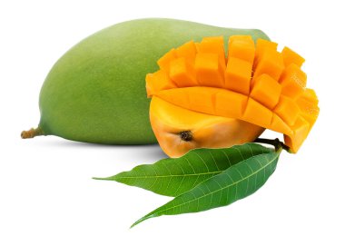 Beyaz arka planda taze yeşil mango meyvesi