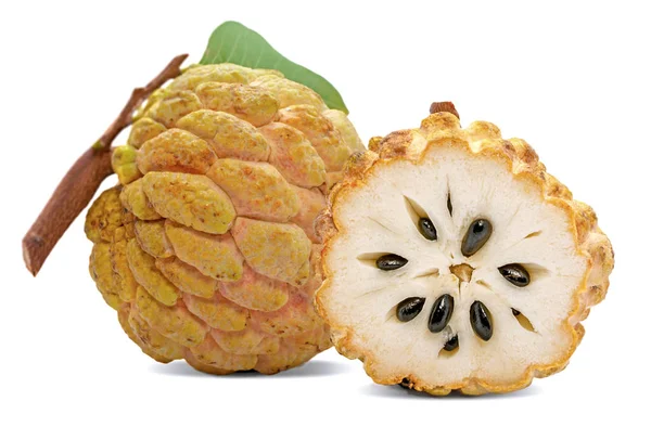 Καρποί Του Είδους Annona Custard Apple Που Απομονώνονται Λευκή Ραχοκοκαλιά — Φωτογραφία Αρχείου