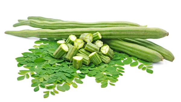 Moringa Oleifera Elszigetelt Fehér Alapon — Stock Fotó