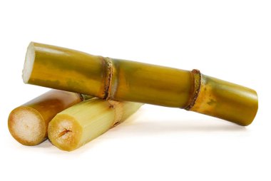 Beyaz arkaplanda izole şeker kamışı