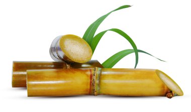 Beyaz arkaplanda izole şeker kamışı