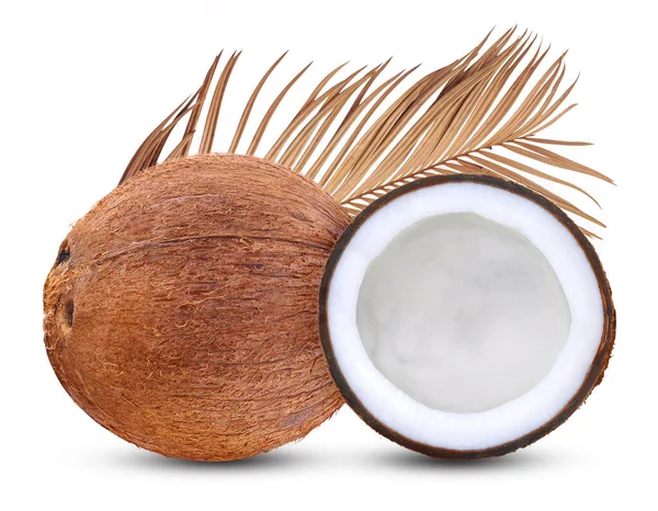 Čerstvý Syrový Kokos Listy Izolovanými Bílém Pozadí — Stock fotografie