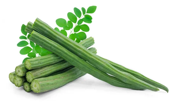 Moringa Mit Blatt Isoliert Auf Weißem Hintergrund — Stockfoto