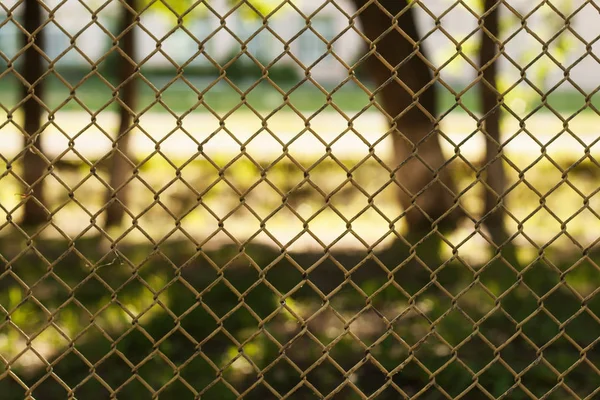 Fence grid on the background of the square