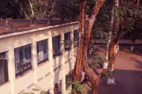 建物の屋上ビュー カーマイケル大学の美しい景観と建築 レンジ ビルやフラットの側面ビュー モダンな学校や大学の建物 — ストック写真