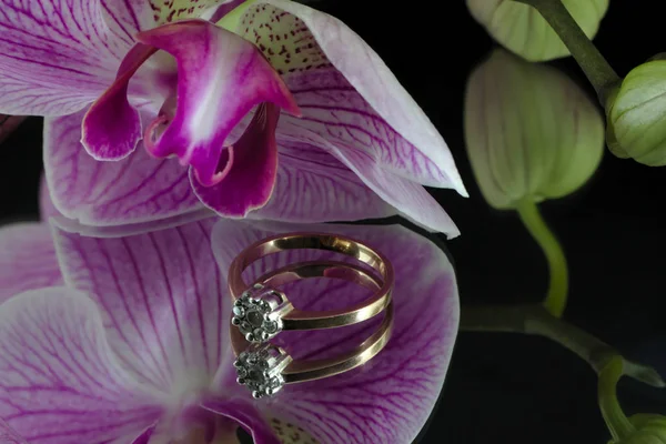 Ring for a woman on a black background. — Stock Photo, Image