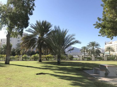 Mavi gökyüzü arka planlı bir bahçede park yeri ve keyifli bir yaşam tarzı sürdürmek için egzersiz ya da yoga yapmak için hoş bir ortam sağlar.