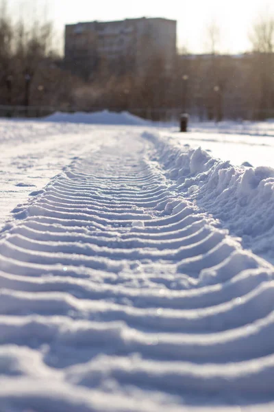 Verse sporen van de trekker in de sneeuw in de winter. — Stockfoto