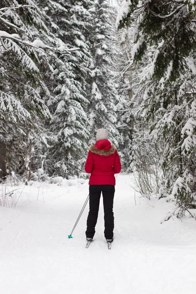 Woman cross country skier in forest on a sunny day — 图库照片