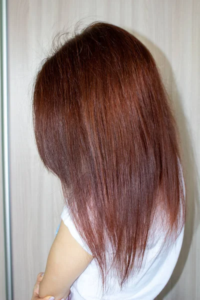 Womens hair is brown. Straight womens hair. — Stock Photo, Image