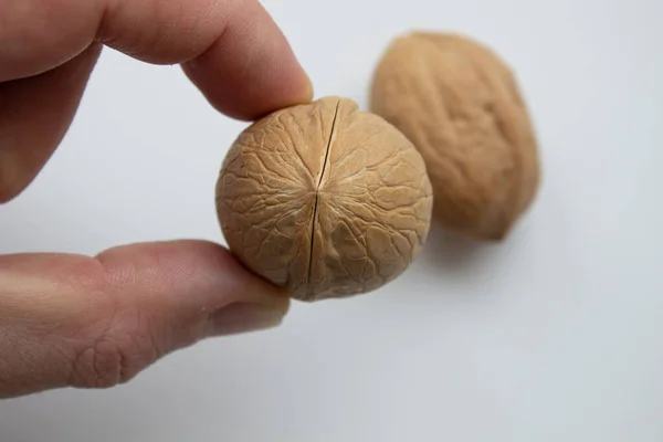 Walnuts Food Nut Hand White Background Isolation — Stock Photo, Image