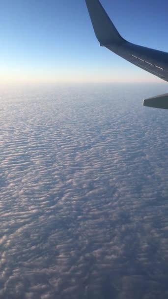 Zicht Vliegtuig Jet Wing Sky Wolken Vanuit Window Blue Achtergrond — Stockvideo