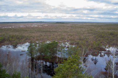 Gündüz bataklıkta görkemli bir manzara kulesi. Meditasyon için sakin ve huzurlu bir yer..