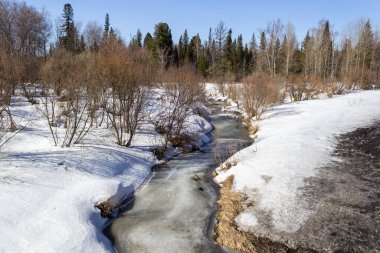 Ormanda kışın donmuş nehir