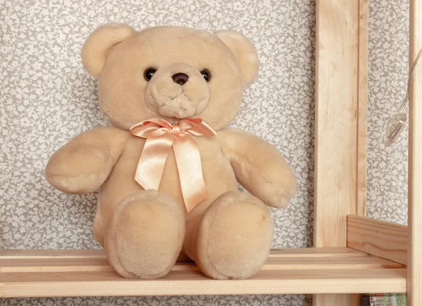 Bear toy on a wooden shelf in the room.