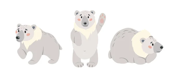 Set of cute cartoon polar bear. Arctic white bears isolated on white background. Vector illustration set. — Stock Vector