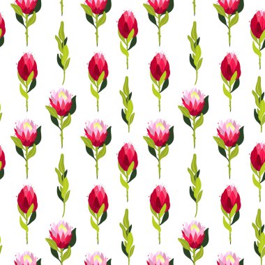 Protea çiçekleri ile renksiz vektör deseni.