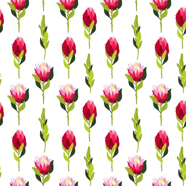 Vector patrón inconsútil colorido con flores de protea . — Archivo Imágenes Vectoriales